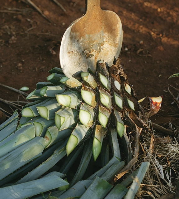 El mejor tequila para mezclar